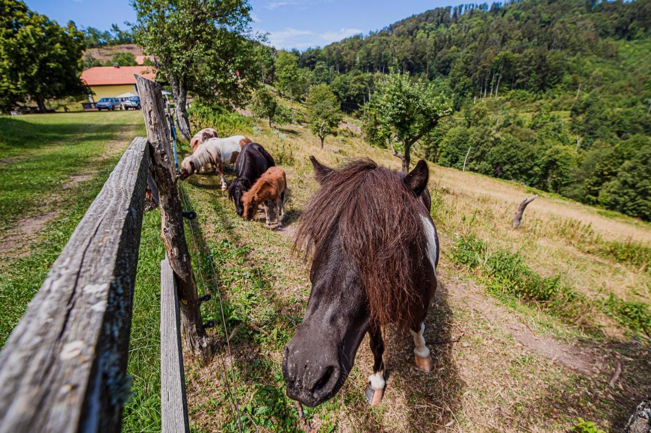 Eko Pony Ranch Ogrizek Διαμέρισμα Podčetrtek Εξωτερικό φωτογραφία