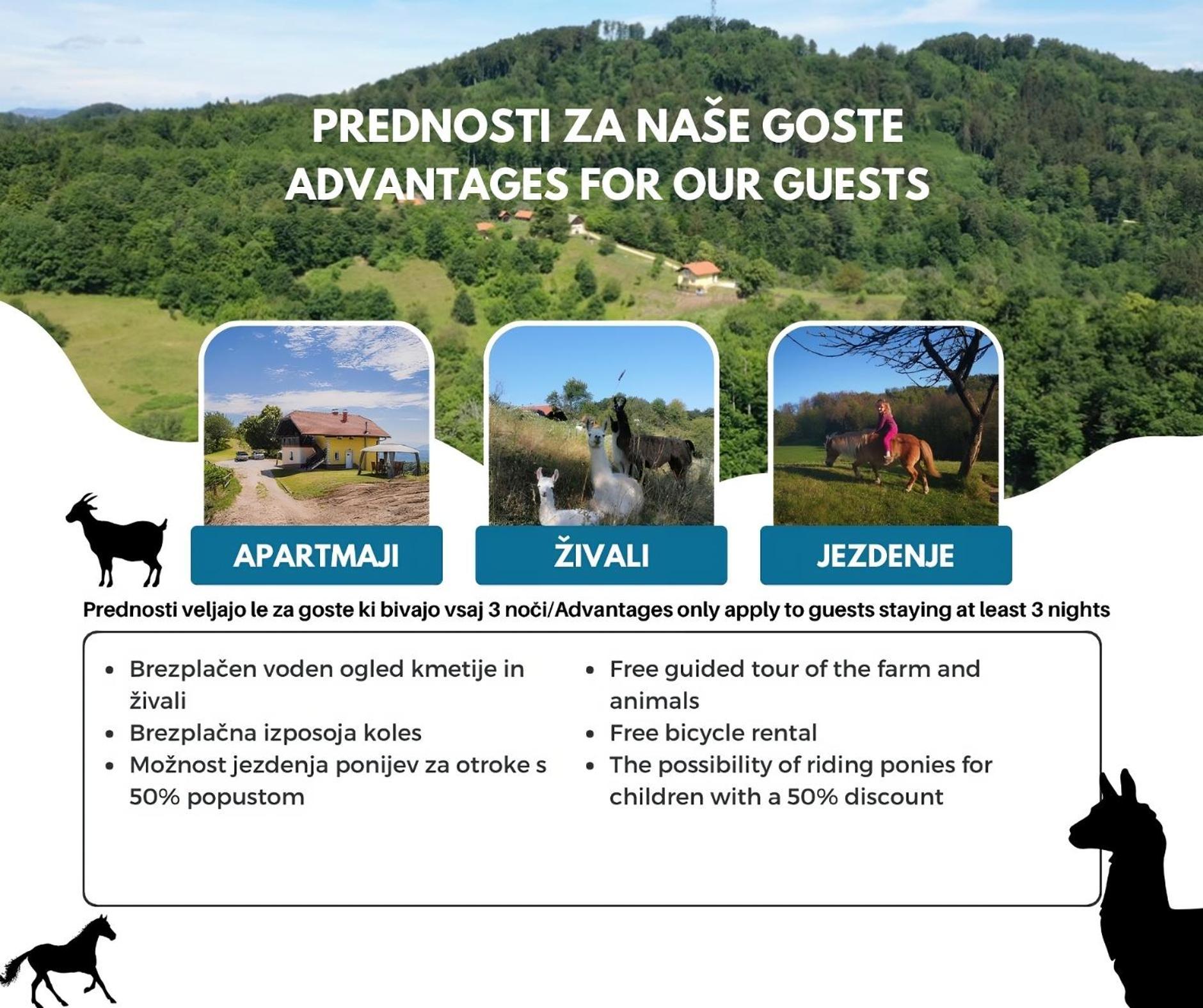Eko Pony Ranch Ogrizek Διαμέρισμα Podčetrtek Εξωτερικό φωτογραφία